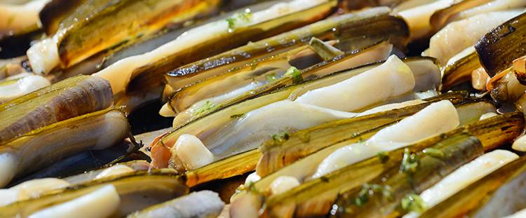 Come cucinare i cannolicchi big