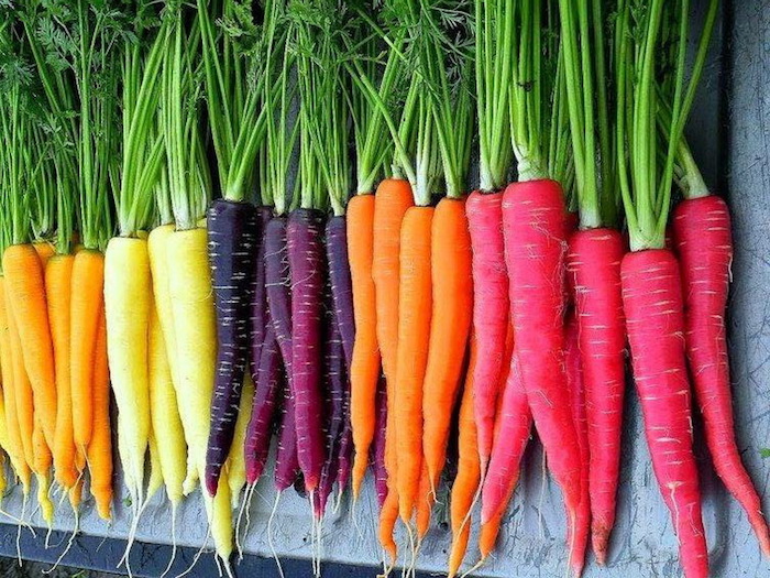 carrots-1
